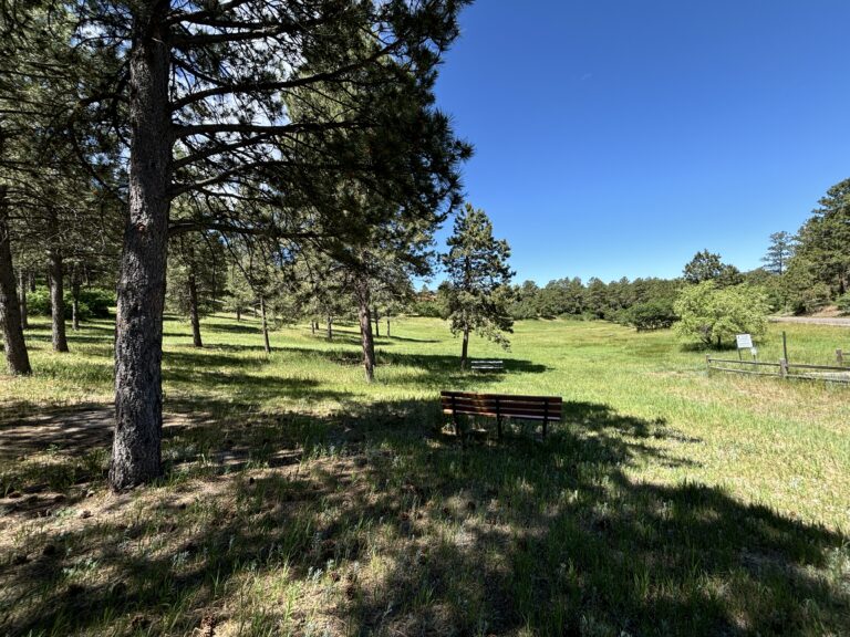 Toboggan Hill in Woodmoor