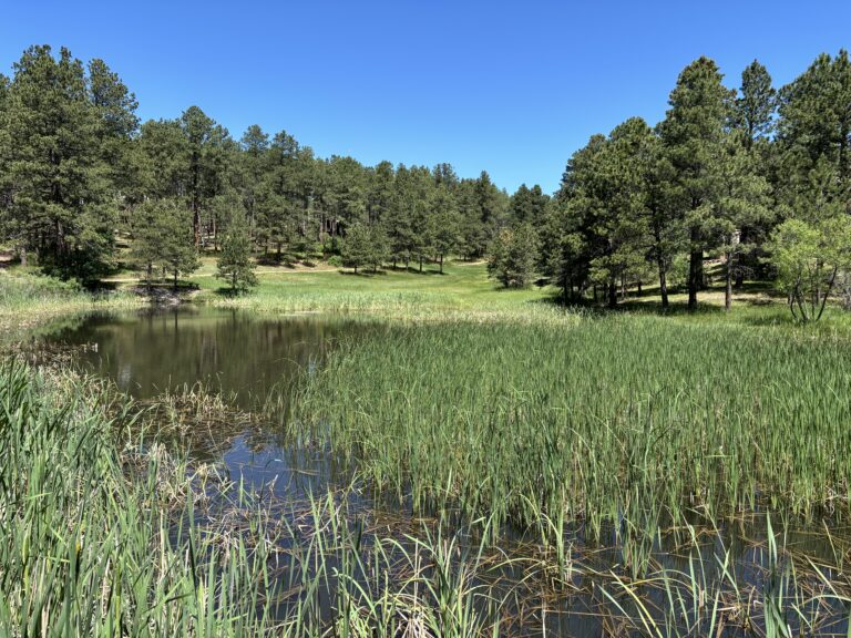 Twin Ponds