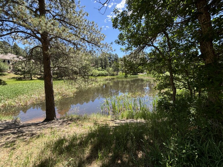 Twin Ponds in Woodmoor